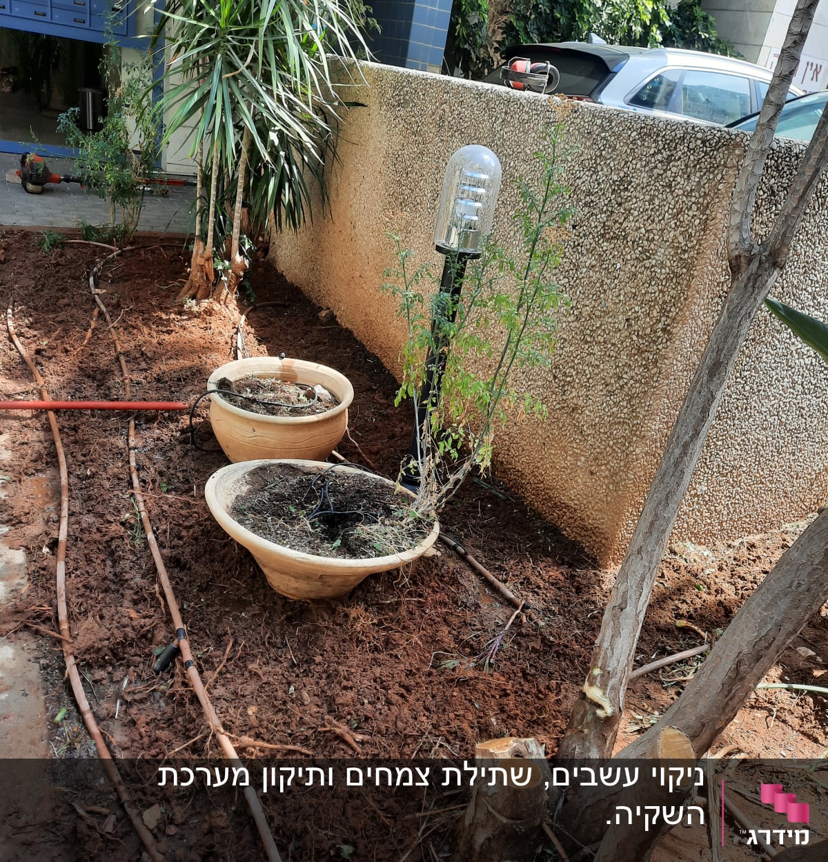 עציצים עם צמחים, צינורות השקיה על אדמה